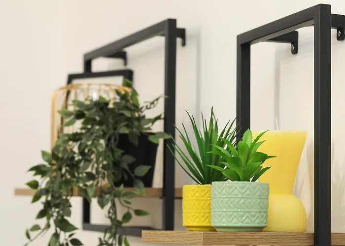 Xenia's Cozy Spot Apartment