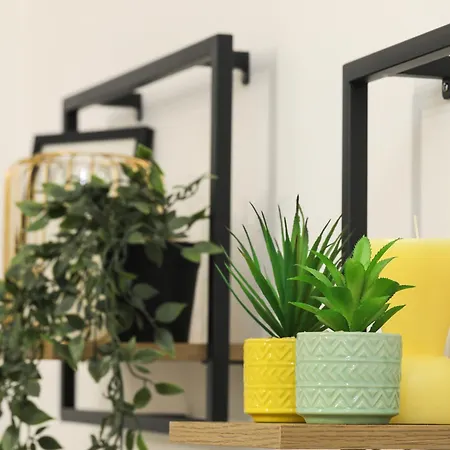 Xenia's Cozy Spot דירה